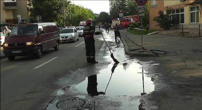 imagine-articol9_51831