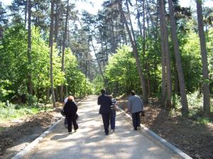 Padurea Parc va fi deschisa vizitatorilor din luna august