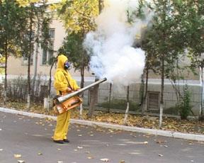 Lucrari de dezinsectie in Zalau