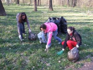 imagine-articol_10866