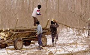 imagine-articol_15705