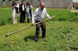 imagine-articol_15726