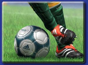 imagine-articol_16047