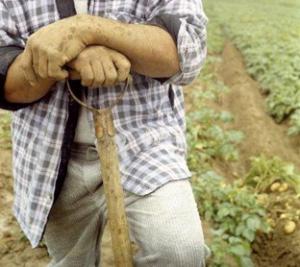 Sprijinul Guvernului pentru agricultori, o forma fara fond