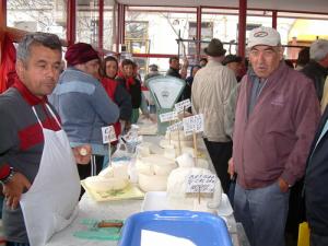 Samsarii fac jocul in piata