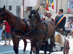 Festivalul crizei