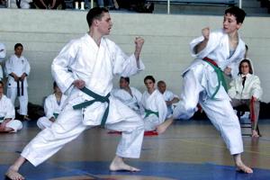 Karate – Cupa Palatului