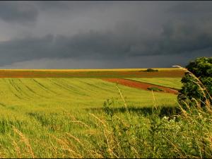 In agricultura salajeana – doar capete… interimare