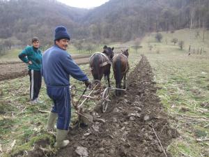 Agricultura din Bobota nu-i ca aia de la Guvern