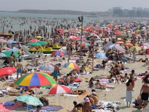 Panică pe litoral! Mai mulţi turişti au fost inţepaţi de un peşte veninos