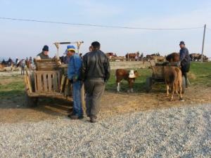 Trei targuri de tara: la Hida, Nusfalau si Jibou