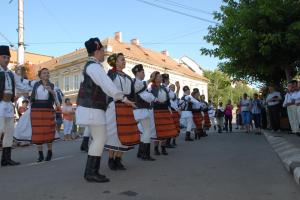 Columna si Porolissum – simbolurile Zalaului