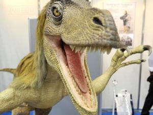 O nouă specie de velociraptor – Balaurul bondoc de Romania