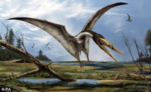 Cel mai mare Pterosaur din lume, descoperit in Romania