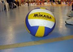 Volei (M) – Turneu amical