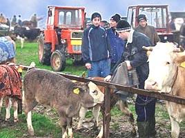 Targ de ţară la Crasna