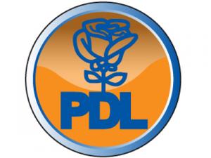 PD-L Sălaj pregăteşte alegerile judeţene