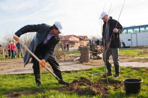 Calendarul lucrărilor agricole in luna octombrie