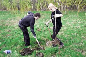 Plantarea de toamnă a pomilor fructiferi