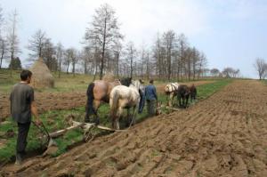 Proiectele pentru exploataţiile agricole se amană