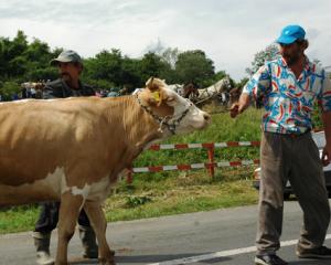 Recensămantul general agricol in Sălaj