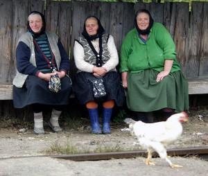 Recensămantul agricol a băgat spaima in oameni