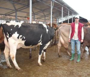 imagine-articol_20649