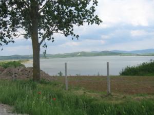 imagine-articol_20651