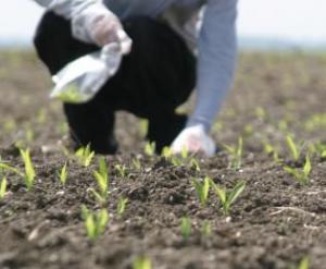 Măsura sărăciei prinde la sălăjeni