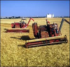 Nădejdea intr-un an agricol mai bun