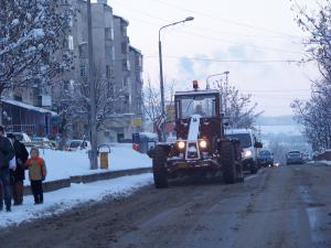 Citadinul s-a invăţat minte