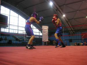 Pugiliştii sălăjeni au făcut senzaţie la Baia Mare