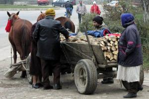 Mincinoşii au primit ilegal ajutoare de incălzire