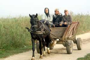 Fenomenul ”sărăcie” in Sălaj