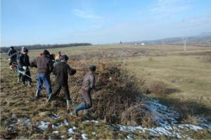 Practici agricole durabile pentru păşune