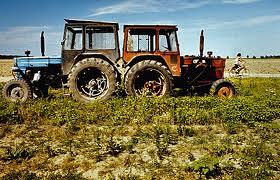 Agricultura – atracţie pentru bănci