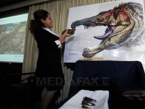 Cel mai mare dinozaur descoperit de cercetători