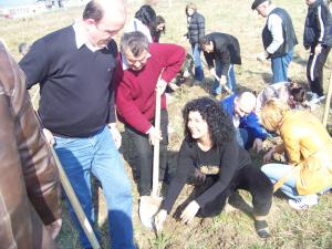 In Sălaj, nu-s terenuri caţi puieţi sunt de plantat