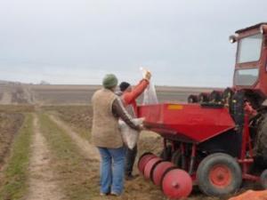 Lucrări de sezon in agricultură