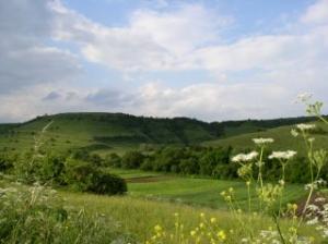 Măsuri de agro-mediu in anul 2011