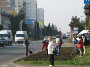 Zălăuanii sunt obligaţi să intreţină spaţiile verzi