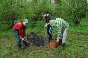 Liceenii zălăuani ii invaţă pe aleşii locali ce inseamnă ecologie