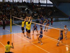 Volei. Divizia A1 masculin