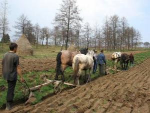 Camerele Agricole – zonă politică interzisă agricultorilor