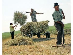 Agricultura de subzistenţă, un cerc vicios