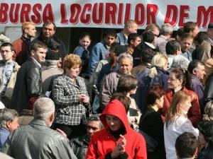 148 de posturi vacante in Zalău, Şimleu şi Crişeni