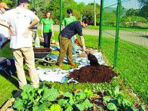 In Salaj agricultura ecologica castiga tot mai mult teren