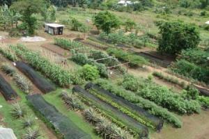 imagine-articol_24856