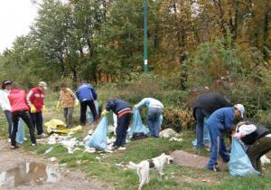 Mobilizare slaba de ziua curateniei