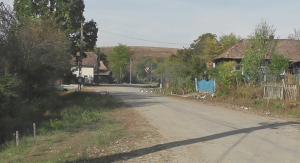 imagine-articol_25271